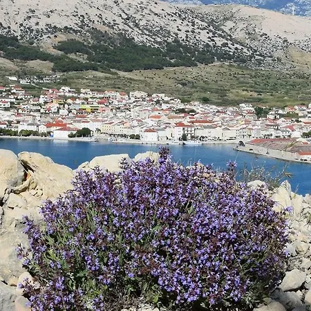 Lejlighed Blue Bay *